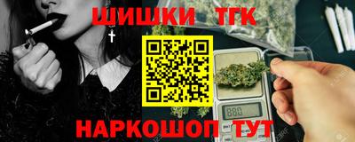 гидра Камышлов
