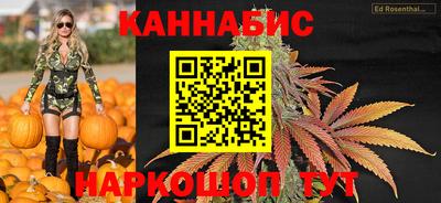 гидра Камышлов