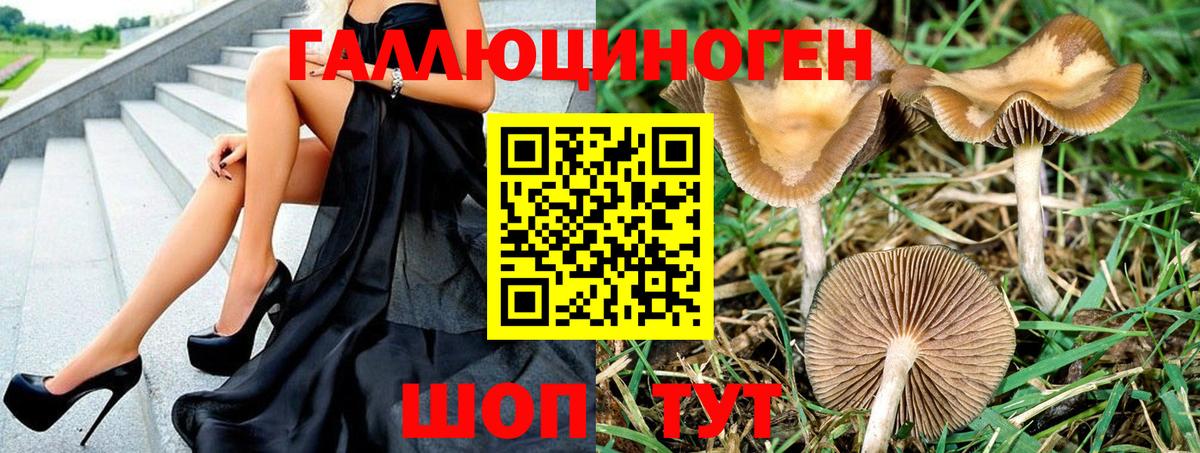 Галлюциногенные грибы мицелий  Вход с VPN  Биробиджан 